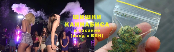 молекула духа Инсар