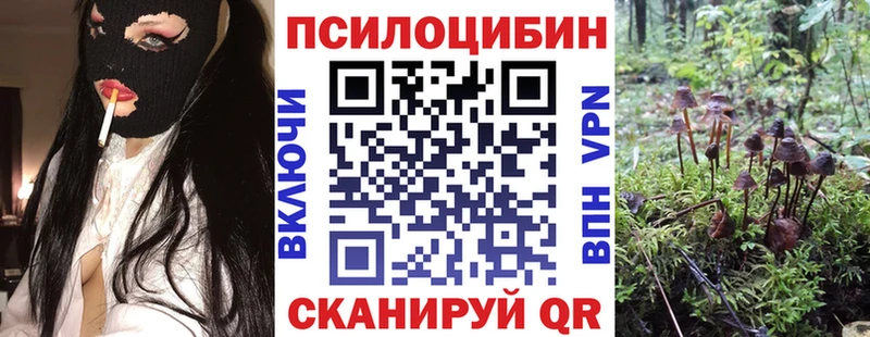 Галлюциногенные грибы Psilocybe  Купить где  Тавда 